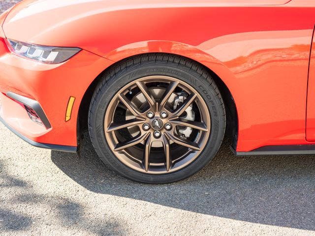 Certified 2024 Ford Mustang Premium RWD image 14