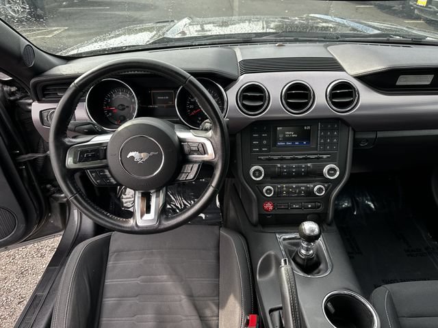 Certified 2017 Ford Mustang GT w/ Black Accent Package RWD image 13