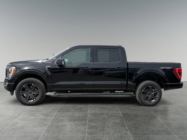 Certified 2023 Ford F150 XLT w/ Equipment Group 302A High AWD/4WD image 3