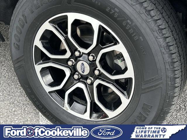 Certified 2024 Ford Expedition XLT image 12