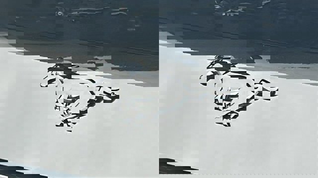 Certified 2024 Ford Mustang Coupe image 9