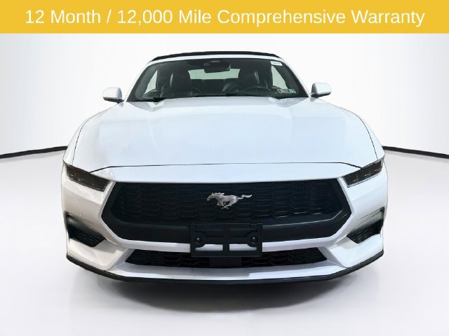 Certified 2025 Ford Mustang Premium RWD image 2