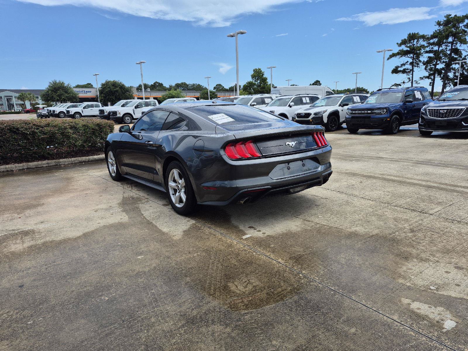 Certified 2019 Ford Mustang Coupe RWD image 11