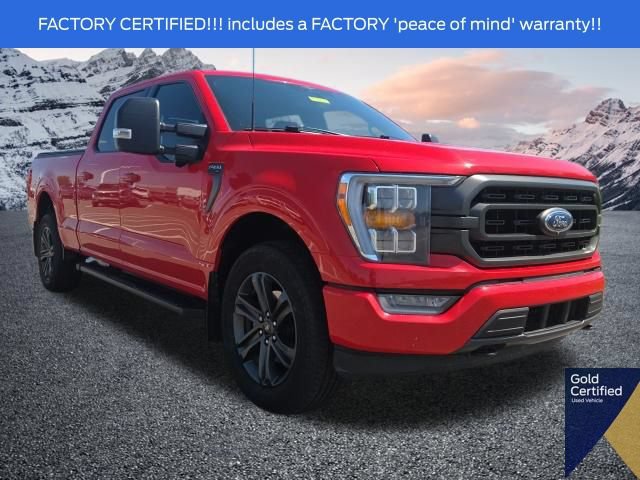Certified 2023 Ford F150 XLT w/ Equipment Group 302A High
