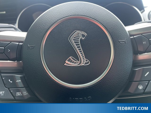 Certified 2018 Ford Mustang Shelby GT350 w/ Electronics Package image 25