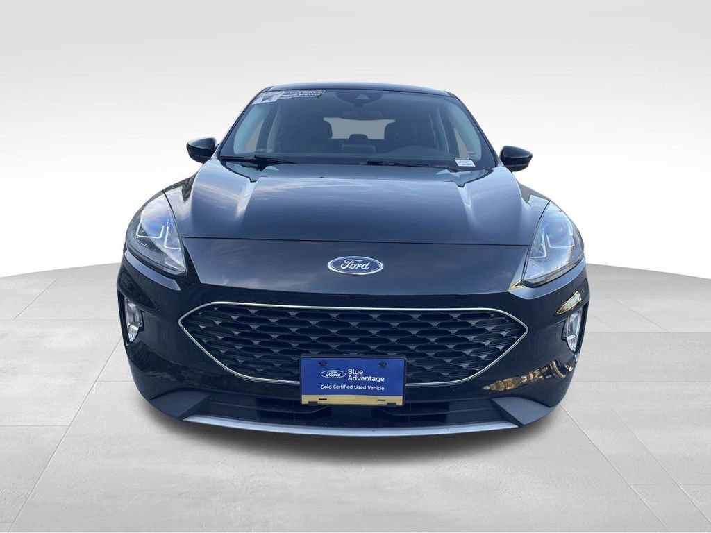 Certified 2022 Ford Escape SEL image 8