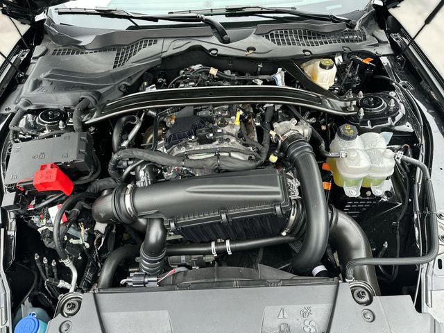 Certified 2025 Ford Mustang Premium image 28
