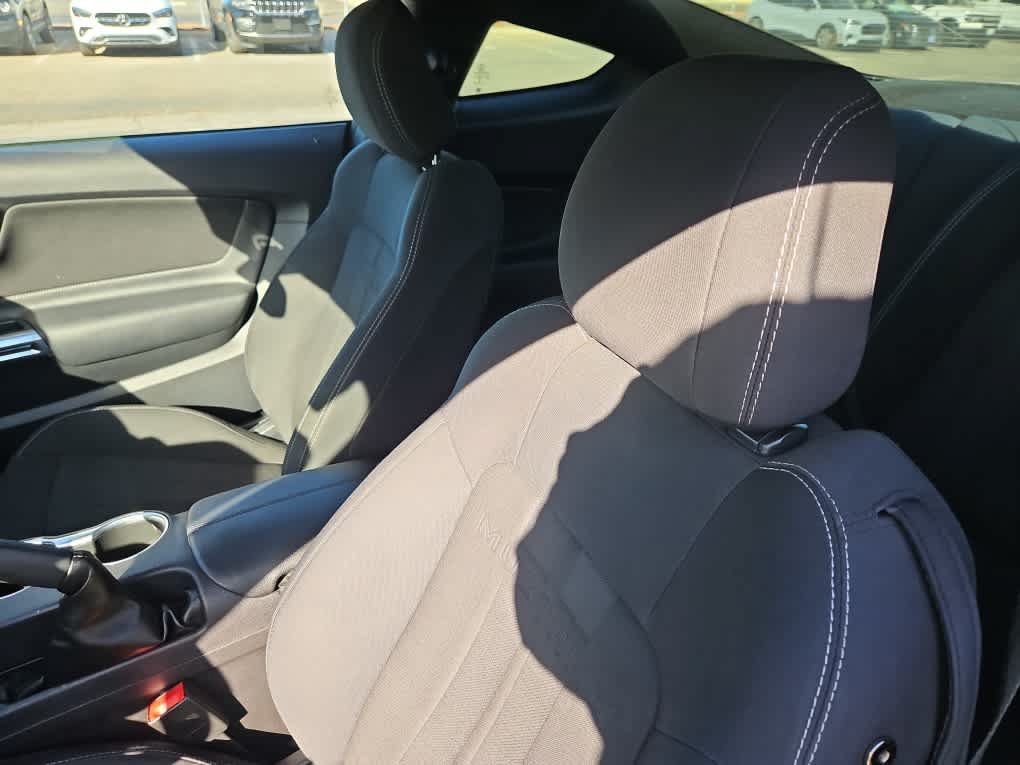Certified 2019 Ford Mustang GT w/ Equipment Group 301A RWD image 11