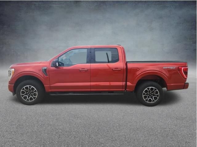 Certified 2023 Ford F150 XLT w/ Equipment Group 302A High AWD/4WD image 6