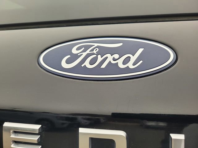 Certified 2025 Ford Expedition Active image 7