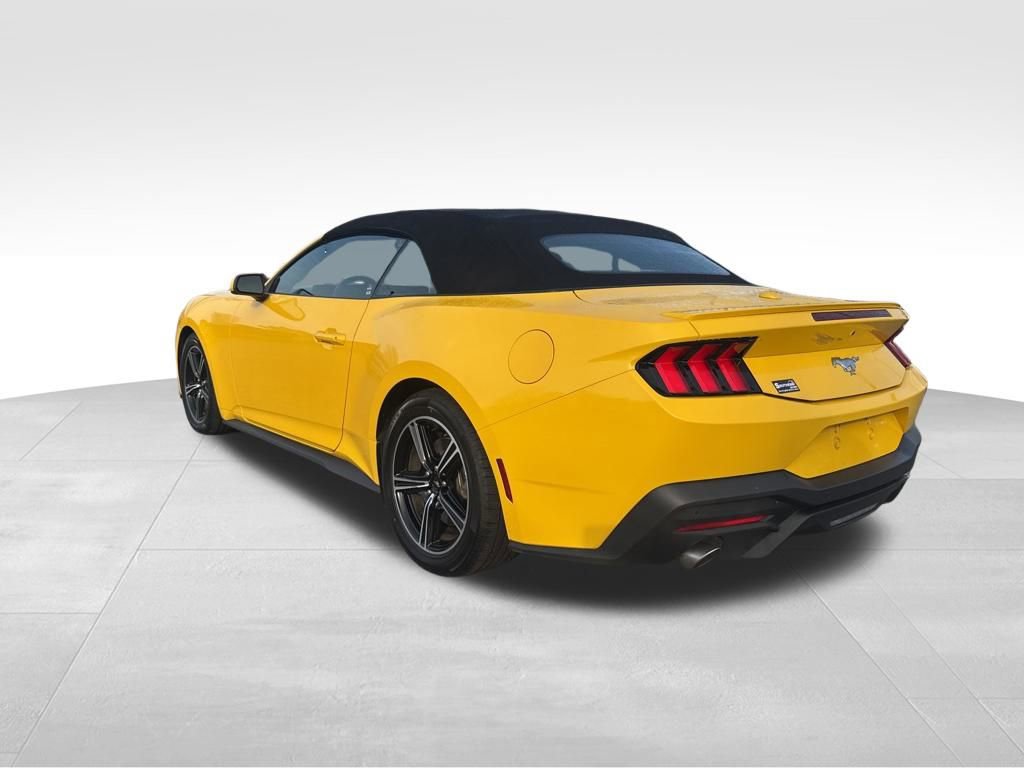Certified 2024 Ford Mustang Premium image 3