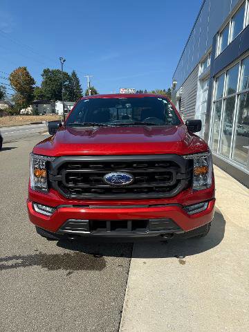 Certified 2023 Ford F150 XLT w/ Equipment Group 302A High image 4