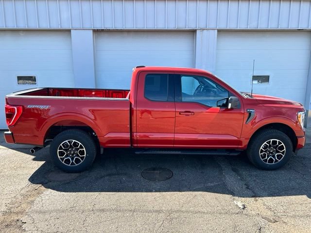 Certified 2023 Ford F150 XLT w/ Equipment Group 302A High AWD/4WD image 6