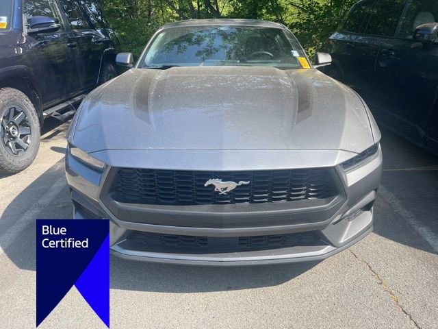 Certified 2025 Ford Mustang Coupe RWD image 2