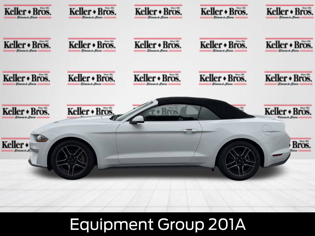 Certified 2019 Ford Mustang Premium w/ Equipment Group 201A RWD image 4
