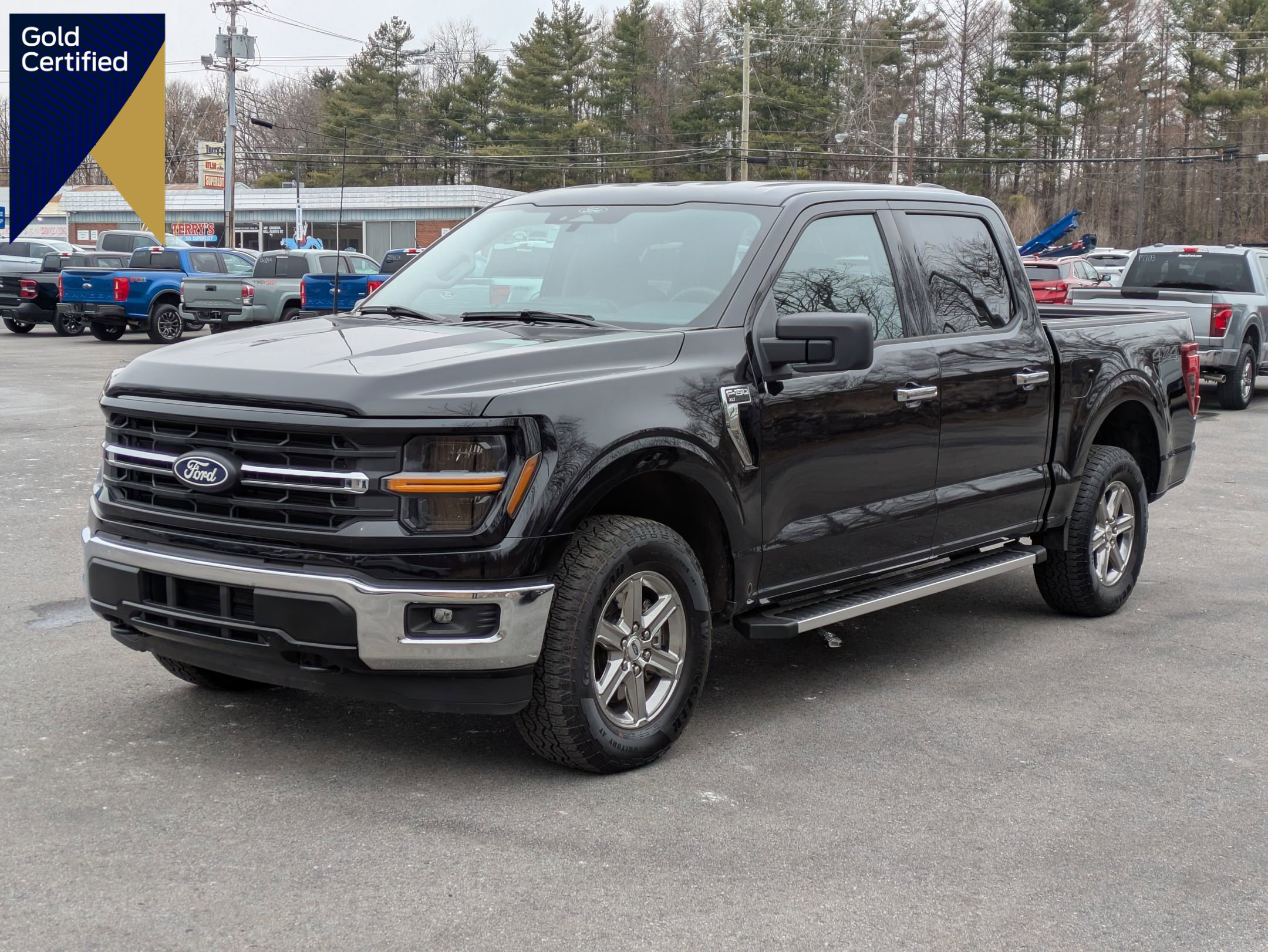 Certified 2025 Ford F150 XLT w/ Equipment Group 301A Standard image 1