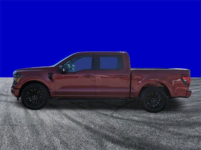 Certified 2025 Ford F150 XLT w/ Equipment Group 303A High image 2