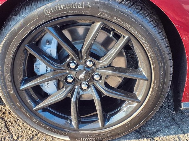 Certified 2025 Ford Mustang GT Premium w/ Mustang Nite Pony Package image 28