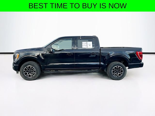 Certified 2023 Ford F150 XLT w/ Equipment Group 302A High image 4