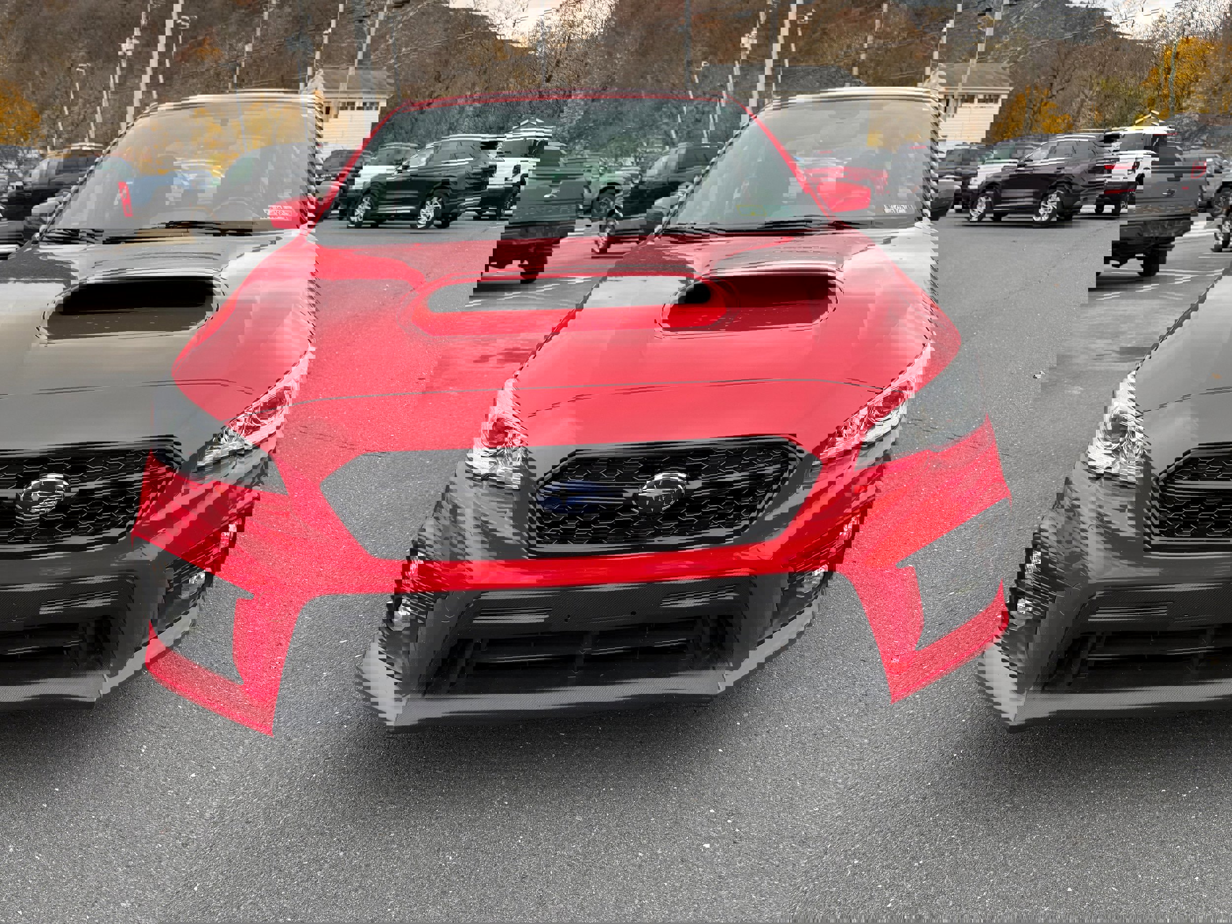 Used 2021 Subaru WRX Premium image 7