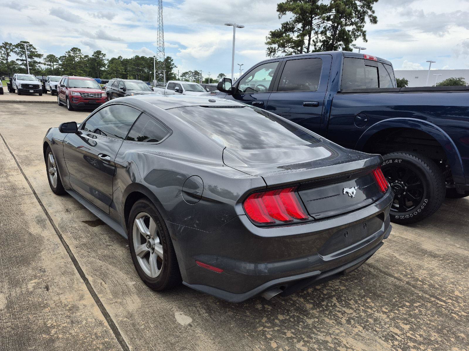Certified 2019 Ford Mustang Coupe RWD image 4