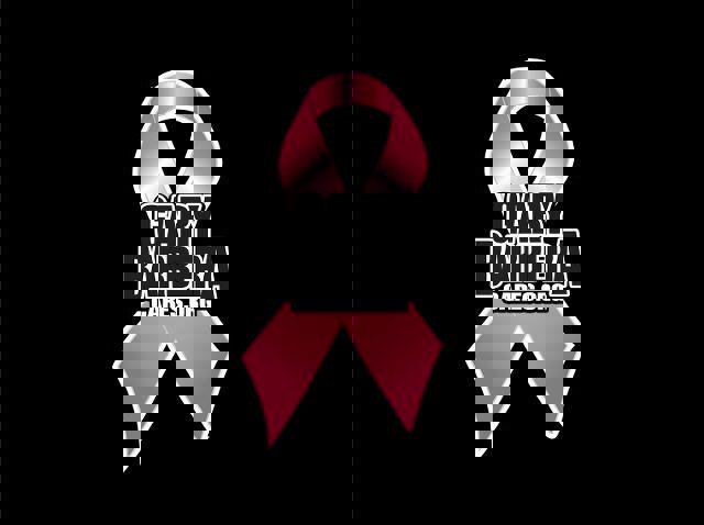 Certified 2022 Ford F150 XL w/ STX Appearance Package image 31