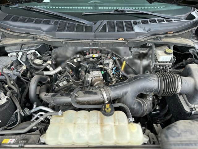 Certified 2021 Ford F150 XL w/ Equipment Group 101A High AWD/4WD image 26