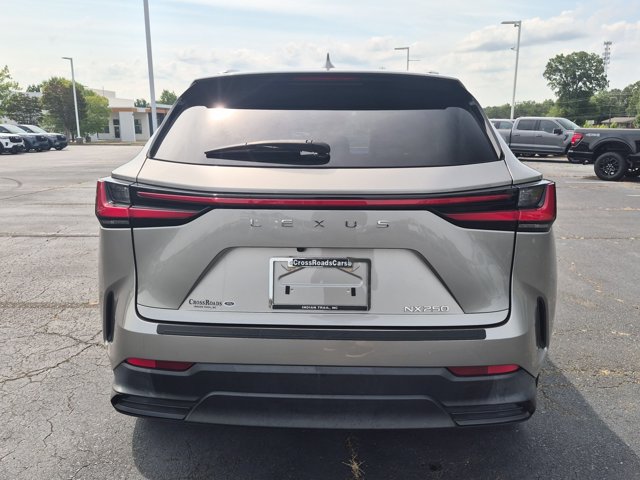 Used 2024 Lexus NX 250 FWD w/ Towing Package (2000 Lbs) image 5