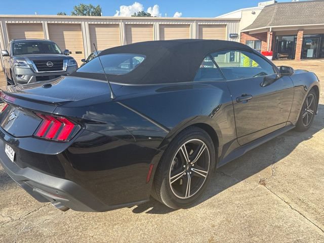 Certified 2025 Ford Mustang Premium RWD image 2