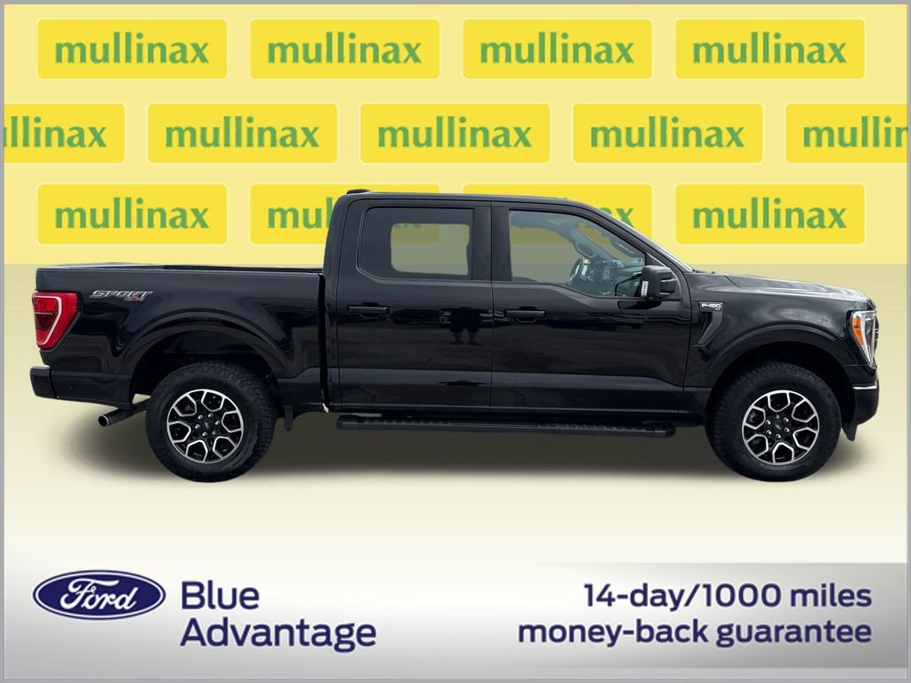 Certified 2023 Ford F150 XLT w/ Equipment Group 302A High video 2