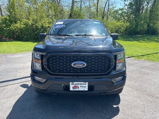 Certified 2023 Ford F150 XL w/ STX Appearance Package AWD/4WD image 2