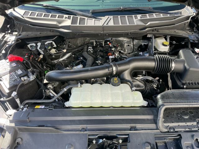 Certified 2025 Ford F150 XLT w/ Equipment Group 301A Standard image 15