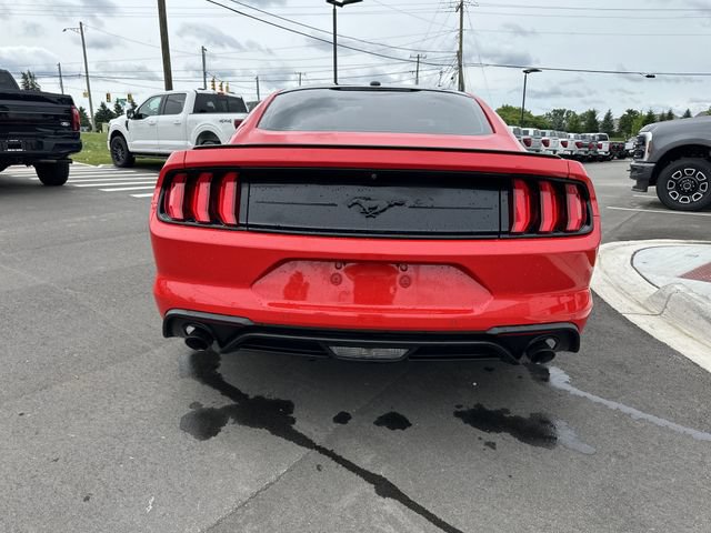 Certified 2019 Ford Mustang Coupe w/ Equipment Group 101A RWD image 3