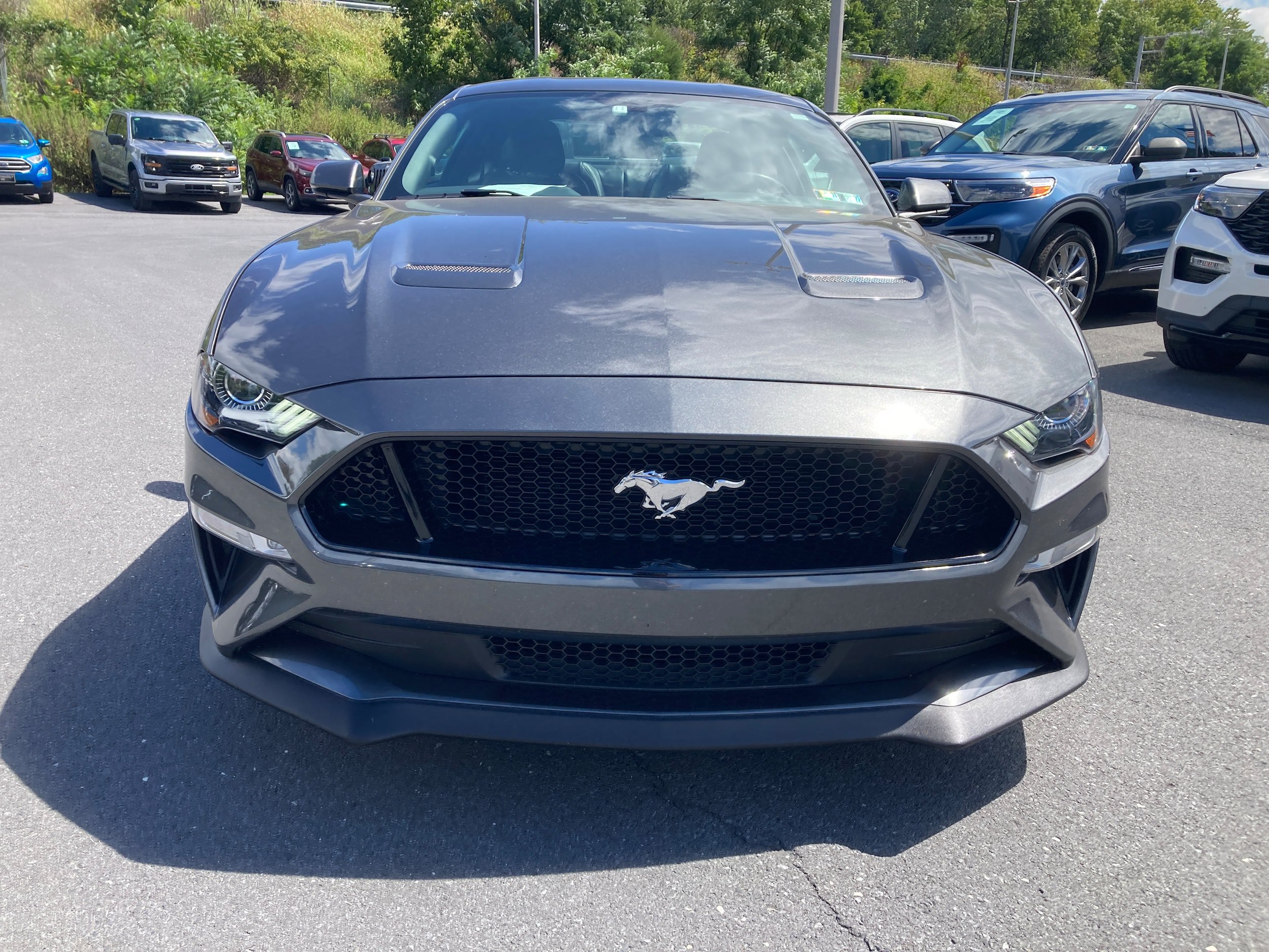 Certified 2019 Ford Mustang GT Premium w/ GT Performance Package RWD image 3