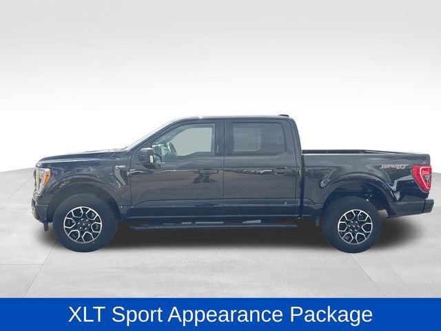 Certified 2023 Ford F150 XLT w/ Equipment Group 302A High image 2