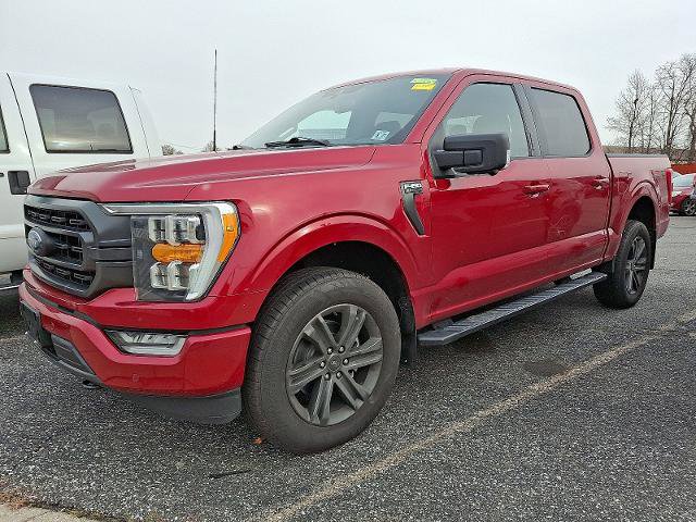 Certified 2022 Ford F150 XLT w/ Equipment Group 302A High image 3