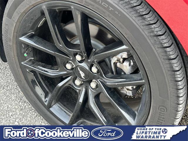 Certified 2024 Ford Mustang Premium image 12