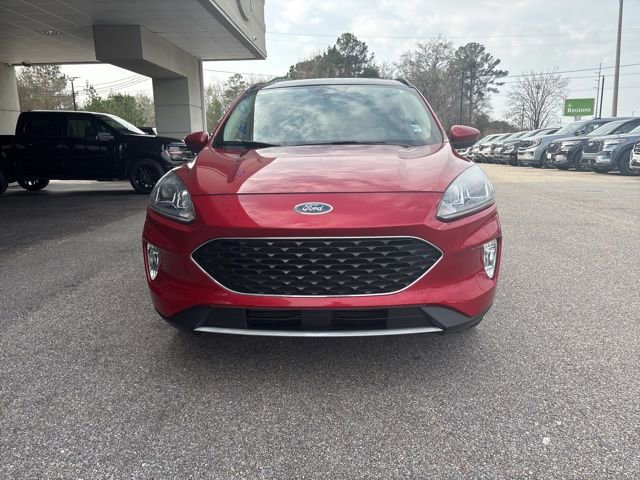 Certified 2020 Ford Escape SEL image 5