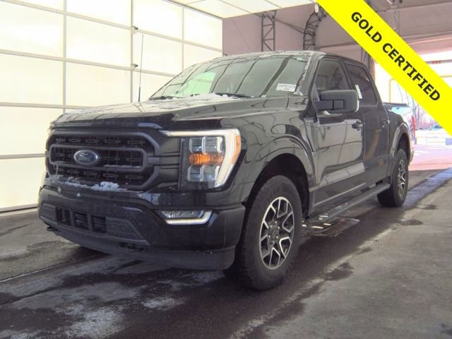 Certified 2023 Ford F150 XLT w/ Equipment Group 302A High image 2