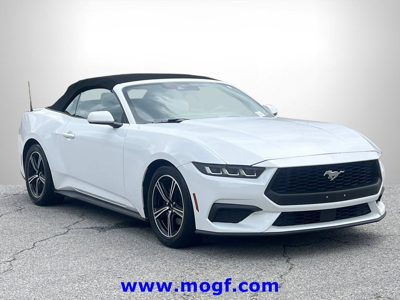 Certified 2024 Ford Mustang Premium RWD image 4