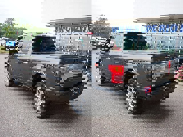 Certified 2020 Ford F150 Platinum w/ Equipment Group 701A Luxury image 5