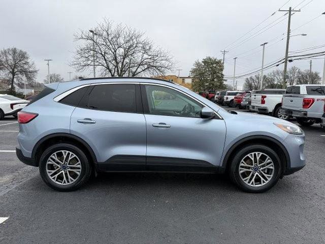 Certified 2022 Ford Escape SEL image 5