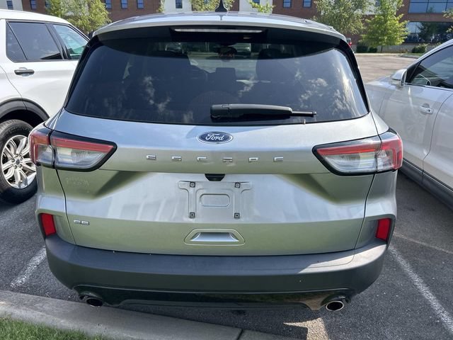 Certified 2022 Ford Escape SE w/ SE Sport Appearance Package FWD image 6