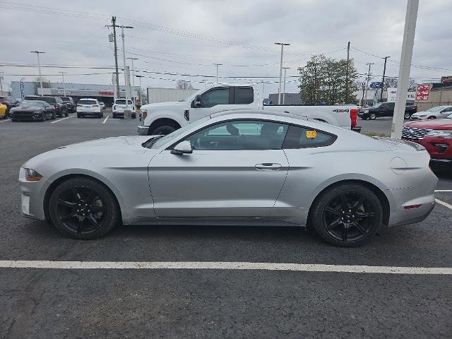 Certified 2019 Ford Mustang Coupe w/ Equipment Group 101A image 2