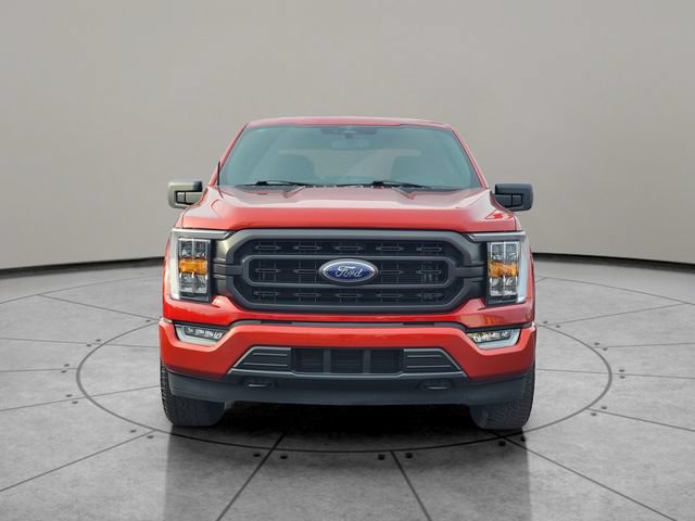 Certified 2023 Ford F150 XLT w/ Equipment Group 302A High AWD/4WD image 15
