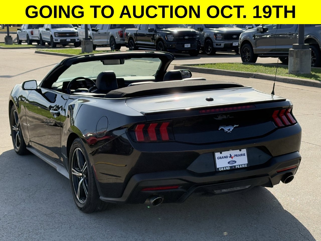 Certified 2024 Ford Mustang Premium RWD image 4