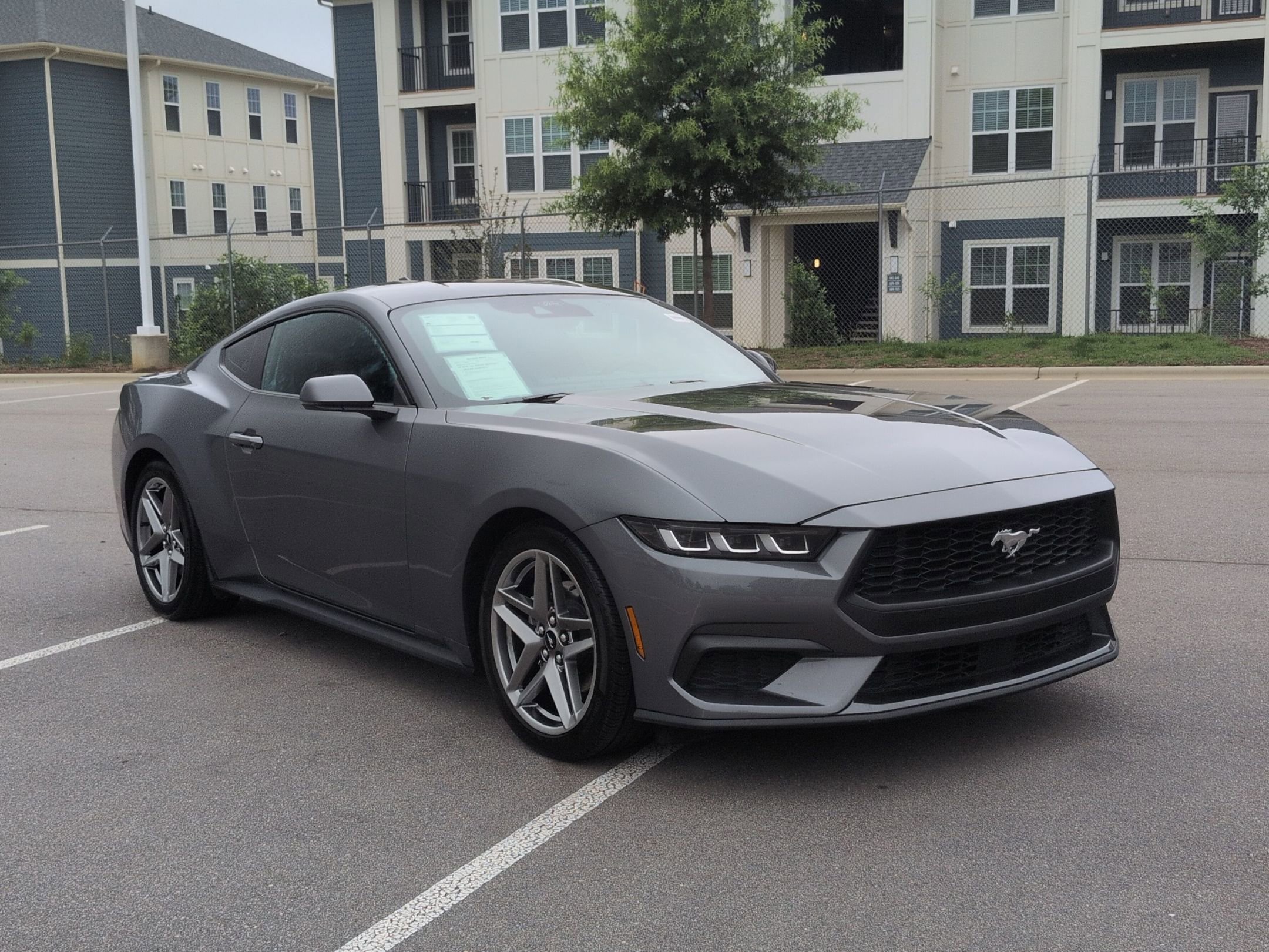 Certified 2024 Ford Mustang Premium RWD image 2