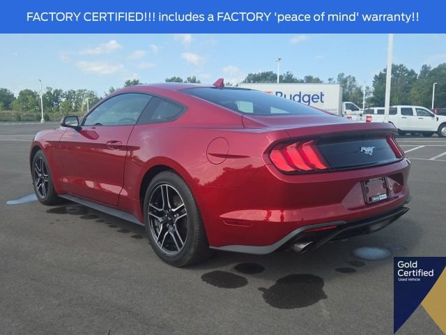 Certified 2023 Ford Mustang Coupe w/ Equipment Group 101A RWD image 13