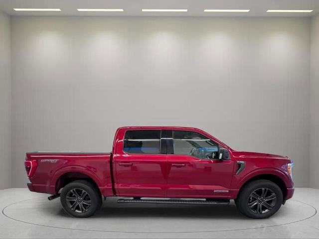 Certified 2021 Ford F150 XLT w/ Equipment Group 302A High image 3