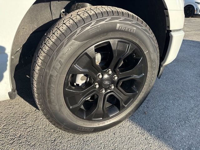 Certified 2023 Ford F150 XLT w/ Equipment Group 302A High image 10